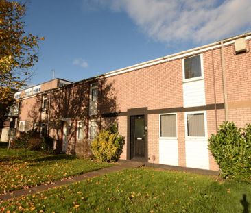 2 bedroom terraced house to rent - Photo 4