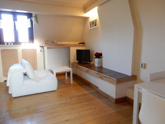 Te huur: Kamer Herbenusstraat in Maastricht - Foto 1