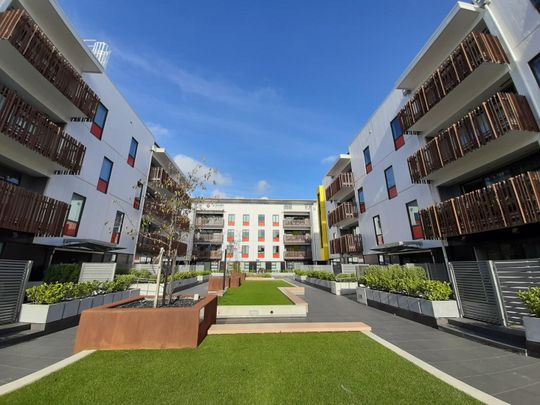 Library Lane Cutie - Photo 1