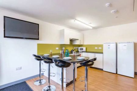 Extra Large Studio - Photo 4