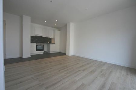 Location Appartement 2 pièces 42m² ANNECY 74000 - Photo 2