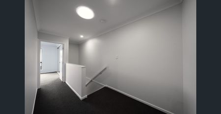 Brand New Designer Living in Brisbane's Connected Northside - Photo 5