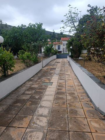 Διαμέρισμα για ενοικίαση Κέντρο Δροσιάς (Δροσιά) - Φωτογραφία 2