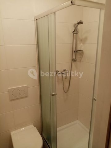 Pronájem bytu 1+1 • 30 m² bez realitkyNa náměstí, Davle - Davle, Středočeský kraj - Photo 4