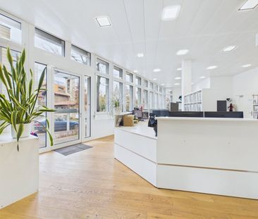 40 m², EG - Photo 5