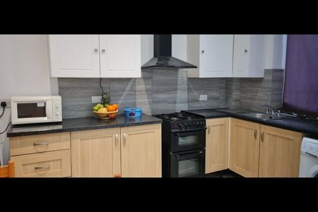 4 Bed Terraced House, Blagden Street, S2 - Photo 5