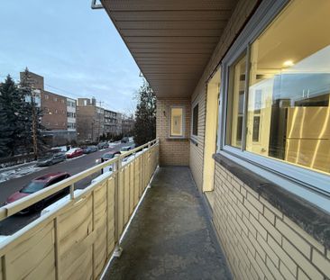 Appartement à louer - Montréal (Côte-des-Neiges/Notre-Dame-de-Grâce... - Photo 1
