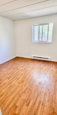 SUPERBE 4 1/2 en coin rénové avec goût! Piscines, gym, internet compris! - Photo 1