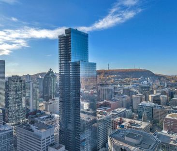 Nouveauté sur le marché Appartement à louer - Montréal (Ville-Marie... - Photo 3