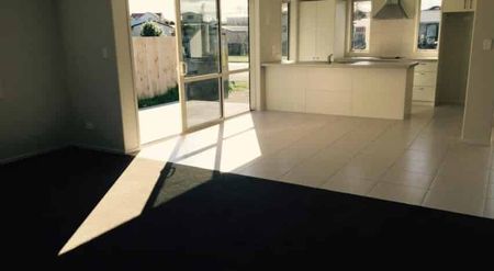 Topaz Delight - Photo 3