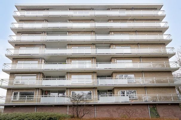 Marne 54, Watercirkelbuurt, 1186PC, Amstelveen - Foto 1