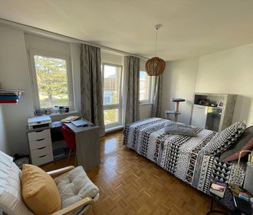 Appartement 3.5 pièces - Photo 5