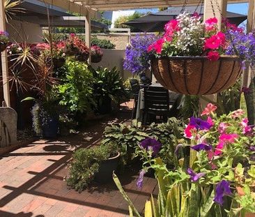 South Perth - Photo 4