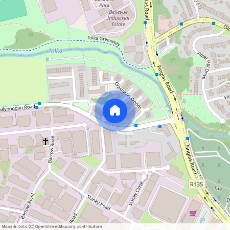 Glasnevin Woods, Dublin 11