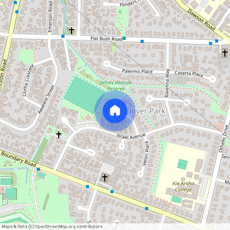 8 Pesaro Place, Clover Park, Manukau City