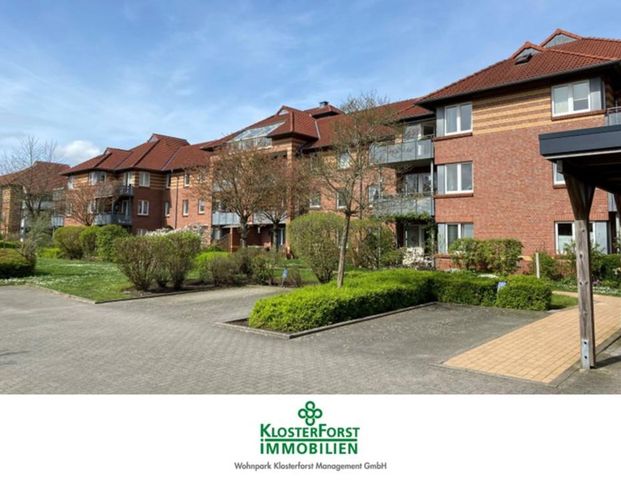 Schöne 3 Zimmerwohnung mit Südbalkon und Stellplatz - Photo 1