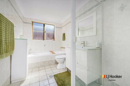 Convenient First-Floor Renovated Apartment in Central Location - Photo 5