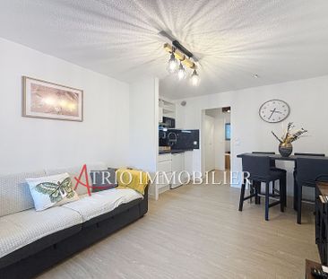Location Appartement 1 pièce 24m² VILLENEUVE LOUBET 06270 - Photo 2