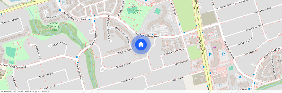 19 Bingham Street Unit# Basement, Richmond Hill