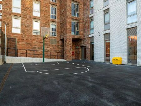 Classic Cluster Studio - Photo 5