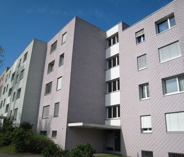 Schöne 3.5 Zimmerwohnung in ruhiger Lage - Foto 1