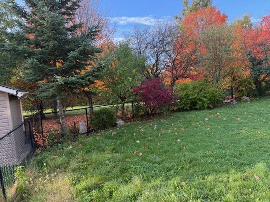 For Lease - 12 Cobblestone Court Unit# (Basement), Brampton, Ontario - Photo 1