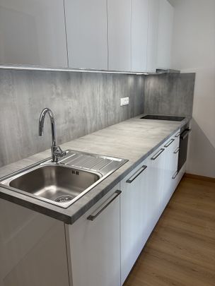 Pronájem bytu 1+kk 42 m² - Fotografie 1