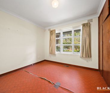 15 Hodgkinson Street, Griffith ACT 2603 - House For Rent | Domain - Photo 1