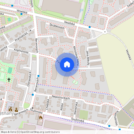 Pavla Beneše, Praha