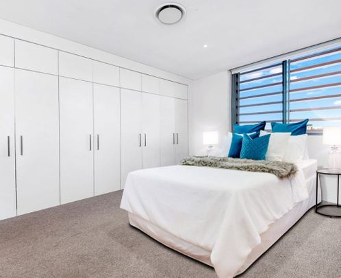 301/9-15 Ascot Street, Kensington NSW 2033 - Apartment For Rent | Domain - Photo 1