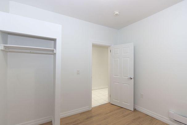 For Lease - 113 Mcgill Street Unit# 1, Toronto, Ontario - Photo 1