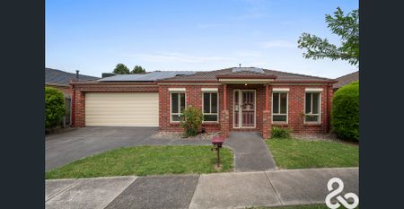 Immaculate 3 Bedroom Home - Photo 3