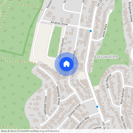 23A Gemini Way, NSW 2539, Narrawallee