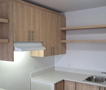 Grand 3 ½ Entierement Rénovés Montreal (Rivière des Prairies) - Photo 2