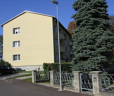 Wohnanlage der LAWOG Schilcherberg 12/10 4651 Stadl-Paura - Photo 1