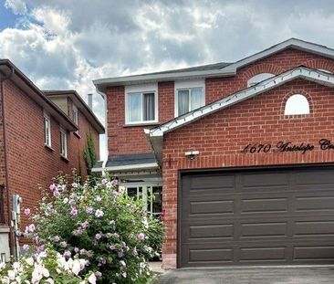 For Lease - 4670 Antelope Crescent Unit# Bsmt, Mississauga, Ontario - Photo 4