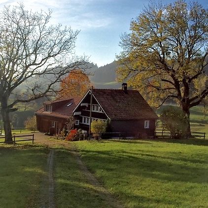 5 Zimmer-Haus in Teufen (AR), möbliert, auf Zeit - Photo 1