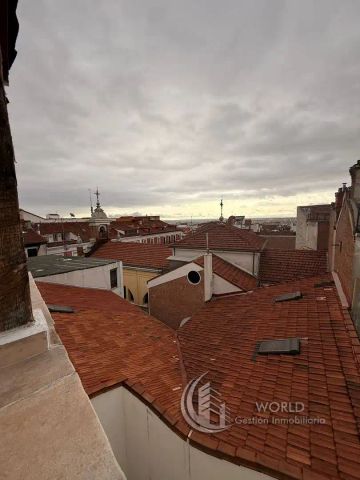 Madrid - Photo 5