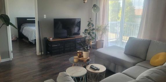 4 1/2 - Saint-Jean-Chrysostome - 965 $/mois - Photo 2