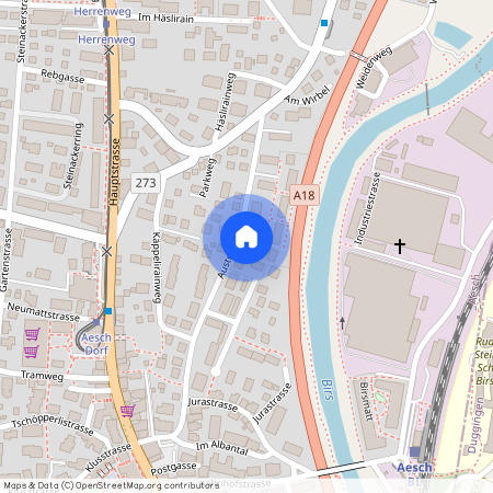 Im Augarten 3, 4147 Aesch BL