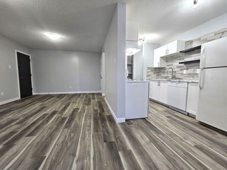 AMAZING FULLY RENO'D Apartment in Lacombe! CATS OK! - Photo 2