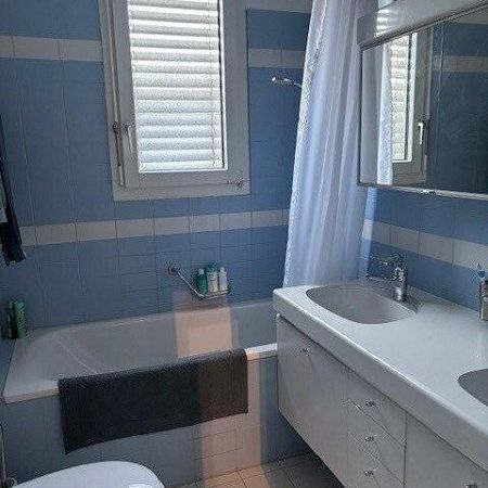 Helle Dachwohnung mit Blick über Basel - Photo 1