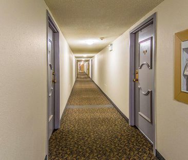 Renovated Suite - 1 Bedroom - Photo 4