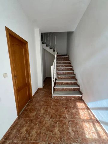 Sueca - Photo 2