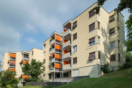 Wohnen im Grünen mit perfekter Anbindung Ihr neues Zuhause in Schaffhausen! - Foto 2