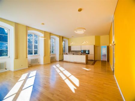 Große, exklusive barrierefreie Schlosswohnung mit modernen Einbauküchen, großem eigenem Garten, mehreren Tageslichtbädern und Park! - Photo 3