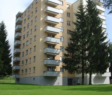 Attraktive 3.5-Zimmer-Wohnung mit herrlicher Aussicht in Tagelswangen - Photo 1