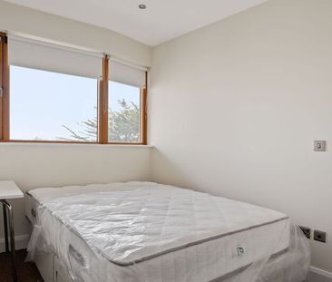 Booterstown Wood, Booterstown, Co. Dublin, - Photo 5