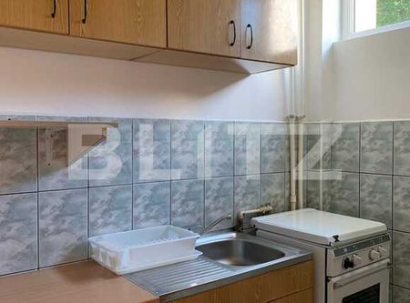 Apartament cu o camera, 32 mp, zona strazii Parang - Fotografie 3