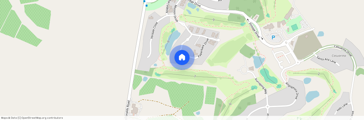 45 Paperbark Drive, NSW 2320, Pokolbin